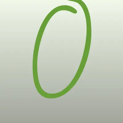 OngNet Plus